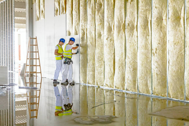 Types of Insulation We Offer in Marshall, MO